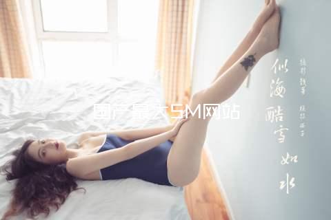 国产最大SM网站